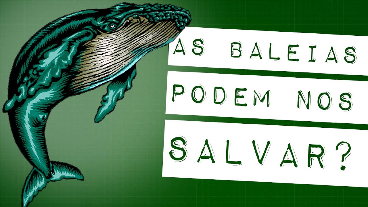 BALEIAS CONTRA AS MUDANÇAS CLIMÁTICAS #meteoro.doc