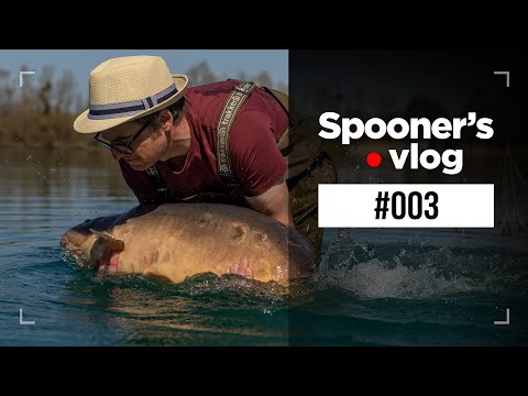 Spooners Vlog 003 | MONSTER CARP Graviers, Behind The Scenes!
