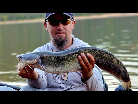 🎣 Cu CAIACUL la PESCUIT 🛶 - O partidă pe un SUPERB BARAJ de MUNTE - Lacul ZETEA