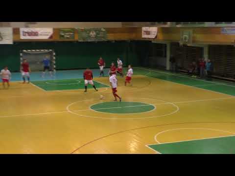 14 КУ 6  4 5 PolPak – Cykoria