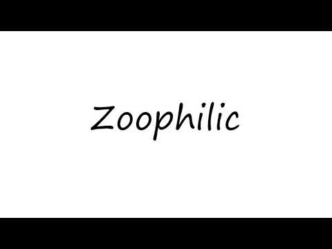 How to Pronounce Zoophilic?