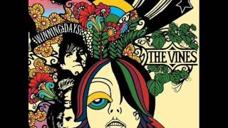 Fuck The World - The Vines