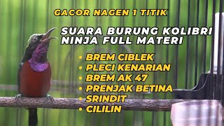 Download lagu SUARA BURUNG KOLIBRI NINJA GACOR FULL MATERI NAGEN 1 TITIK // MASTERAN BURUNG DAN PANCINGAN KONIN mp3