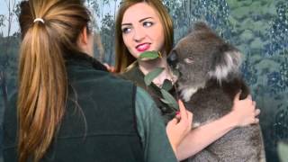 preview picture of video 'Rachel Jackson at Cleland Wildlife Park, South Australia'