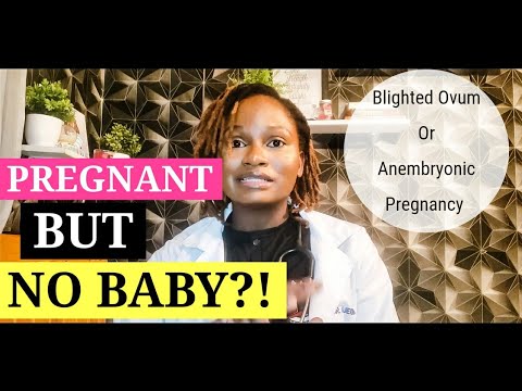 I Have a Positive Pregnancy Test But No Baby! / Blighted Ovum / Anembryonic Pregnancy