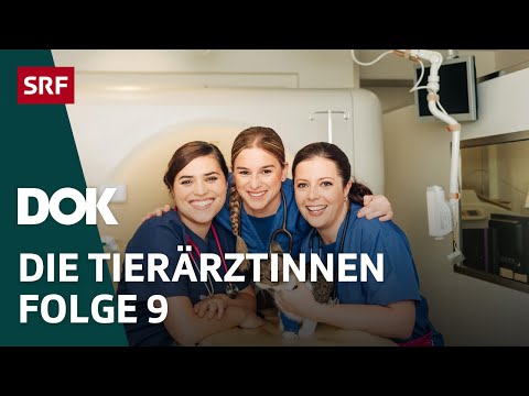 Junge Tierärztinnen und ihr Knochenjob – Die Bewährungsprobe | Folge 9 | Doku | SRF Dok