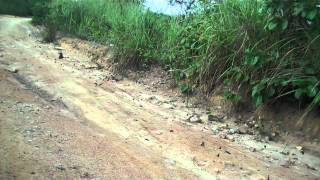 Adventurebug Angola 60klm of Butterfiles