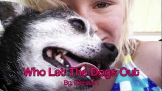 Who Let The Dogs Out