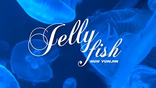 Download lagu [thaisub | แปลไทย] HUH YUNJIN - jellyfish (해파리) mp3