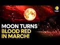 Blood Moon 2026 Why This Rare Total Lunar Eclipse Will Turn The Sky Red WION Originals