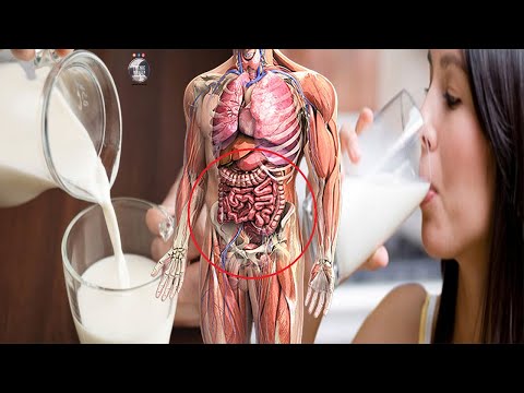 Nëse vuani nga kjo semundje mos pini qumesht para gjumit, ja arsyet