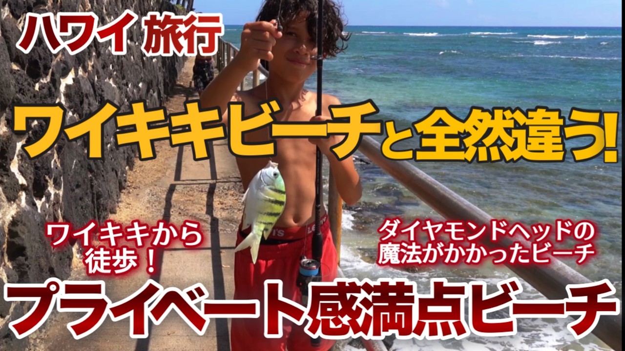 【ハワイ旅行】ワイキキから徒歩で行ける隠れ家的ビーチ！ワイキキビーチとは比べ物にならない上質なプライベート感！このビーチこそハワイに来てよかったと思える場所！ |ハワイの今|ハワイ旅行情報|