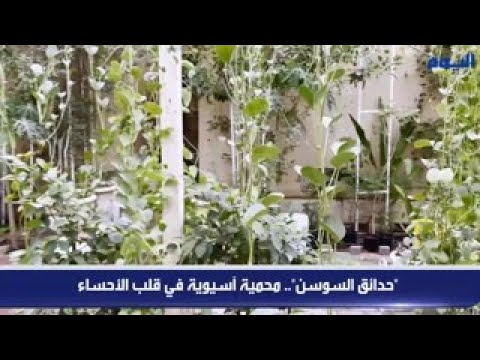 "حدائق السوسن".. محمية آسيوية في قلب الأحساء