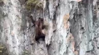 Gefahren in Russland 