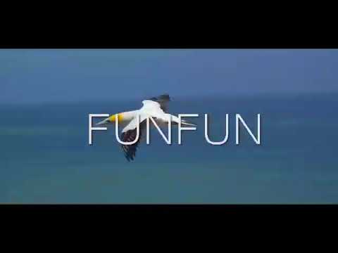 Davidzee - FunFun (Reloaded)