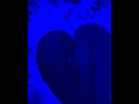 @kronikoel23 - Desahogo (freestyle)