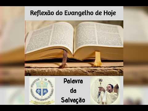 Reflexão do Evangelho de hoje com Padre Jadson, 29.07.2020.