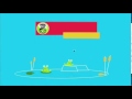 PBS Kids Promo 2013 Rebrand Frog Template
