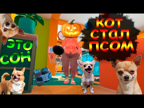 СТРАШНЫЙ СОН КОТИКА