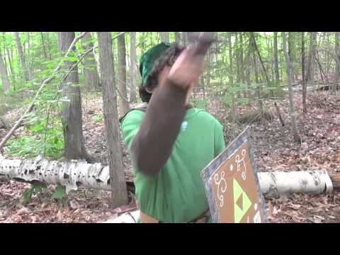 SSB Toon Link VS. Mario