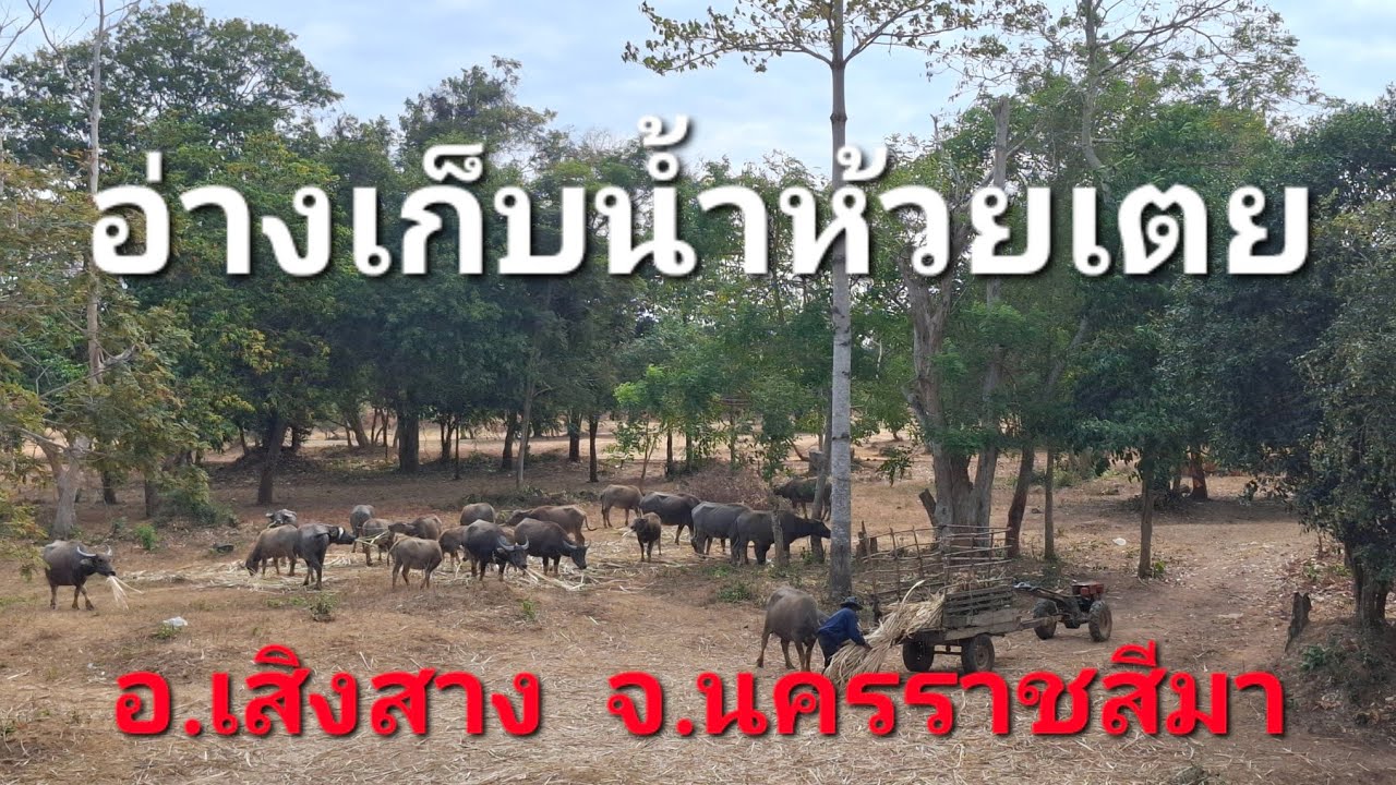 อ่างเก็บน้ำห้วยเตย