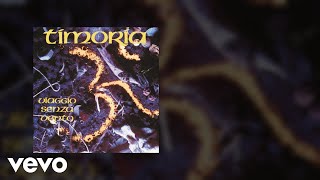 Timoria - Il Mercante Dei Sogni (Visual)