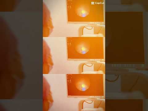 Alejandro Olvera Lozornio-18