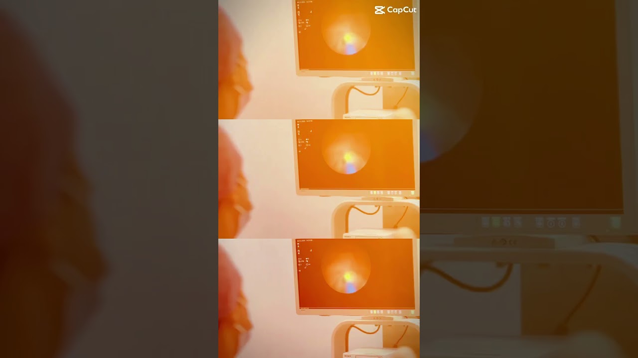 Alejandro Olvera Lozornio-18