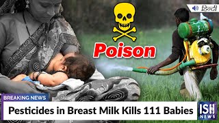 Pesticides in Breast Milk Kills 111 Babies