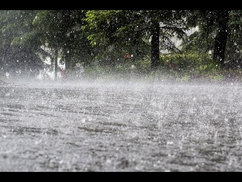 Parts of Gujarat receive heavy rain showers | Evening News | 13-08-2020