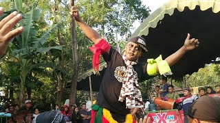 Download lagu Bantengan Superr Asiikk - Kudo Kuncoro - live kaloran Ngronggot mp3