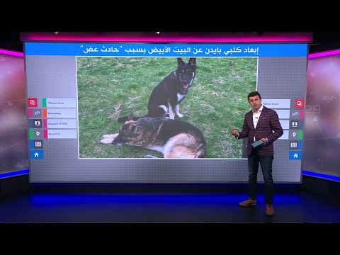 إبعاد كلب بايدن من البيت الأبيض بعد عضه ضابطا!