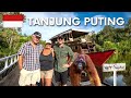 Tanjung Puting Borneo The Orangutan BUCKET LIST Tour 4 Days