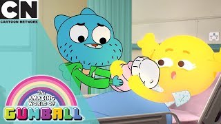 The Amazing World of Gumball | Prepare to Cringe | Cartoon Network