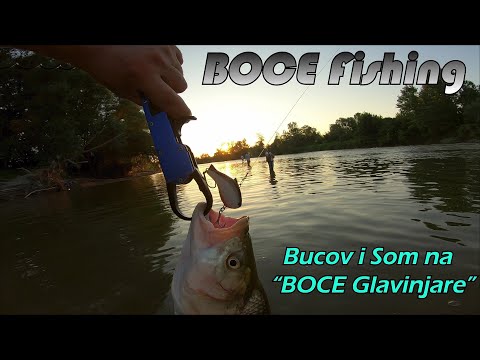 Varalicarenje Bucova i Soma "BOCE" Glavinjarama