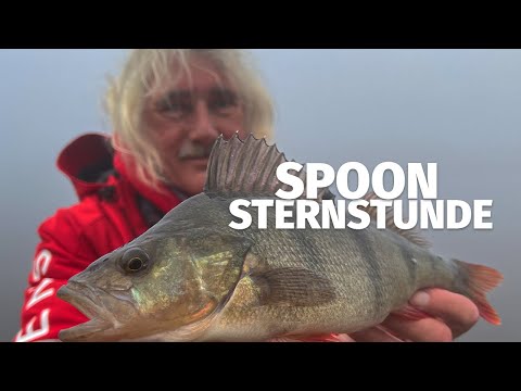 NUR SO FANGEN WIR RAUBFISCHE: DISTANZ am NOK mit JÖRG OVENS - 'Fang mal was' (15)