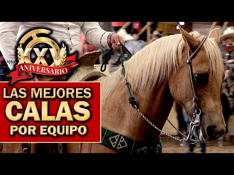 2022 Campeonato Millonario THV - Las Mejores Calas por Equipos parte 3 - Cala de Caballo