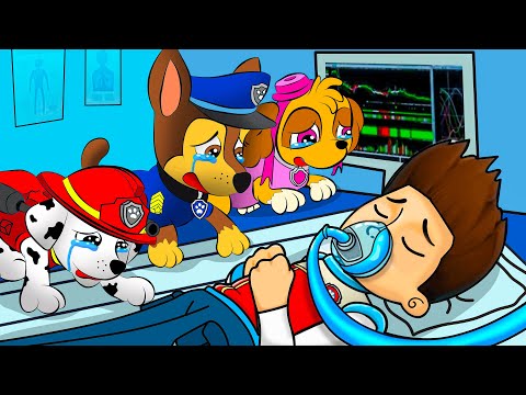 What Will Happen To Ryder? Very Sad Story! | PAW Patrol The Mighty Movie | Rainbow Friends 3