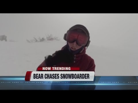 Girl chased by bear