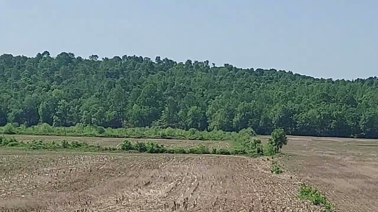 Prime Kentucky Hunting Leases: Expert Grayson County Property Review