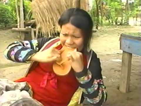 Kuv Niam Siab Dub Part 1 1/2