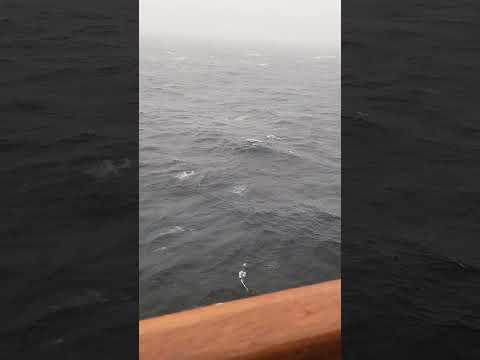 Thumbnail for Ocean Vibes from the Deck 🌊🚢 #CruiseLife #OceanVibes #short