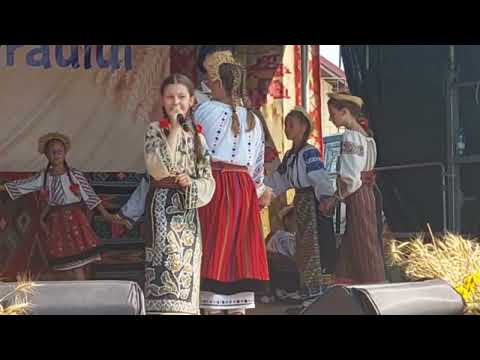 Maria Avadanei - Lautar cu scripca veche