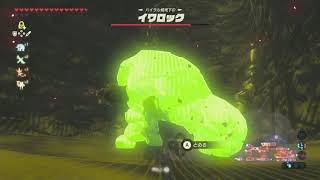 ゼルダの伝説ブレスオブザワイルド　初見プレイ#21 厄災ガノン