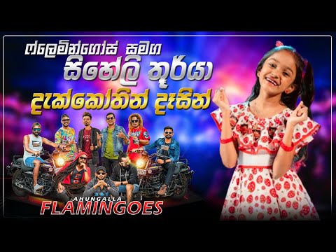 Dakkothin Dasin | Siheli Thurya With Ahungalla Flamingoes