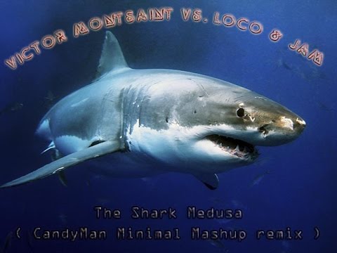 Victor Montsaint vs.  Loco & Jam  - The Shark Medusa ( CandyMan Minimal Mashup Remix )