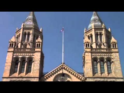 The Black Demon Shark Documentary