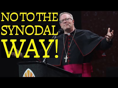 This Synodality Trend Is Dangerous, Bishop Barron Warns