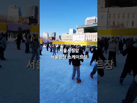 서울시청 앞 서울광장 스케이트장에서 처음으로 스케이트를 타봤습니다.