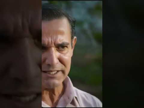 SINTONIA _PULGA leva o pastor nas IDEIAS